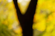 autumn21