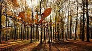 autumn24