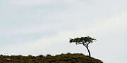 highlands16