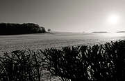 winter12