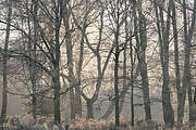 winter21