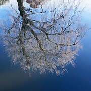 winter25