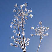 winter25